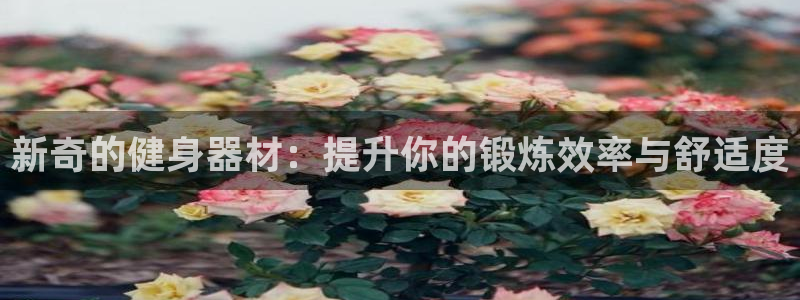 凯捷体育集团官网首页网址：新奇的健身器材：提升你的锻