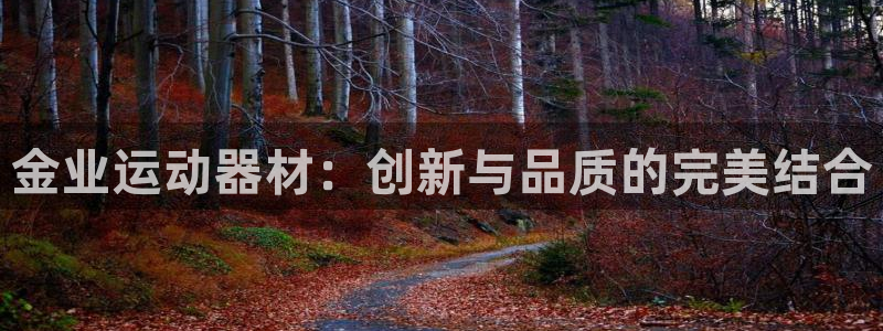 凯捷体育招商电话号码：金业运动器材：创新与品质的完美