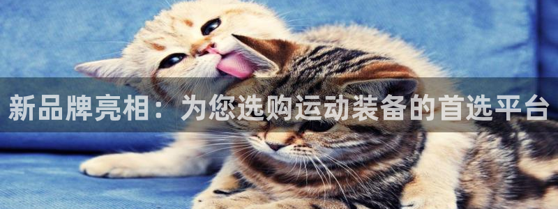 凯捷体育平台注册要钱吗安全吗：新品牌亮相：为您选购运