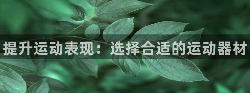 意昂集团官网：提升运动表现：选择合适的运动器材
