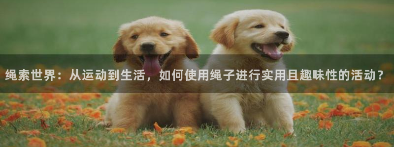 海南凯捷体育：绳索世界：从运动到生活，如何使用绳子进