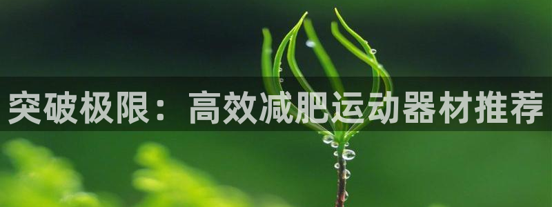 凯捷体育招商电话地址是多少：突破极限：高效减肥运动器