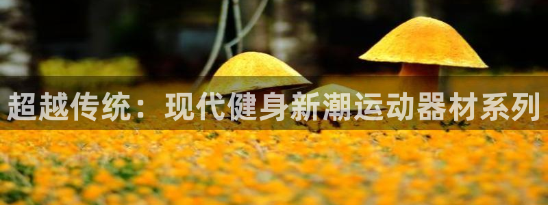 凯捷体育招商电话号码：超越传统：现代健身新潮运动器材