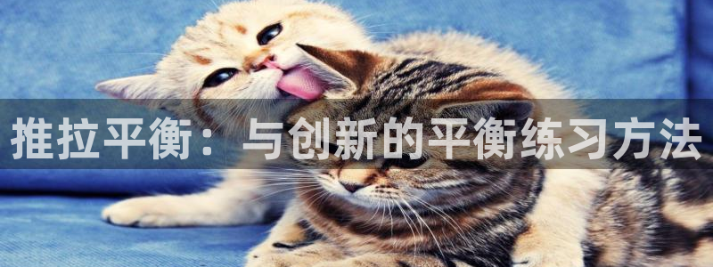 凯捷体育集团：推拉平衡：与创新的平衡练习方法