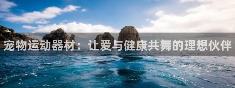 凯捷体育平台注册要钱吗：宠物运动器材：让爱与健康共舞