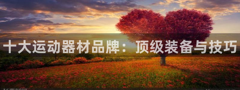 凯捷体育平台是正规平台吗安全吗：十大运动器材品牌：顶
