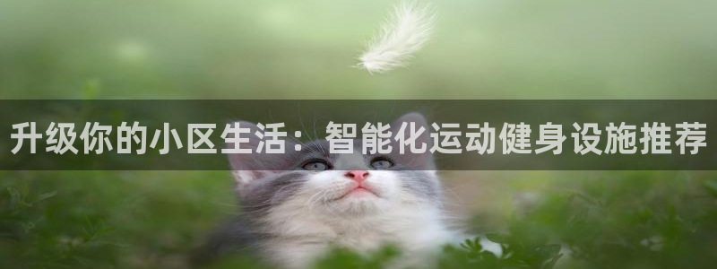 凯捷体育集团E.ON：升级你的小区生活：智能化运动健