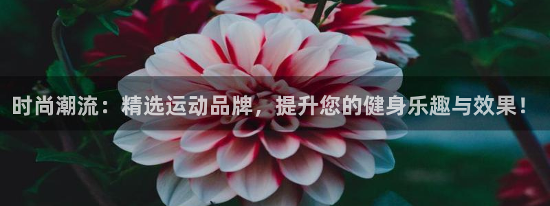 凯捷体育平台是正规平台吗知乎：时尚潮流：精选运动品牌