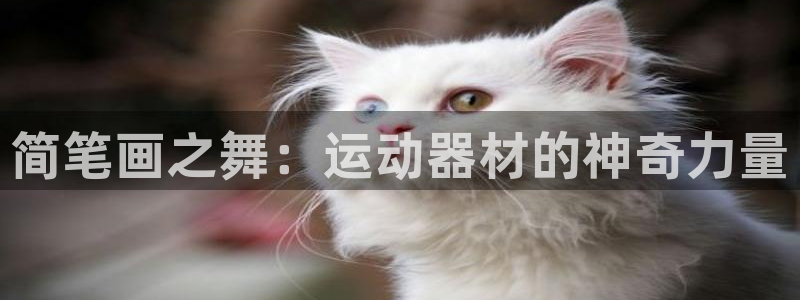 凯捷体育集团官网首页网址：简笔画之舞：运动器材的神奇