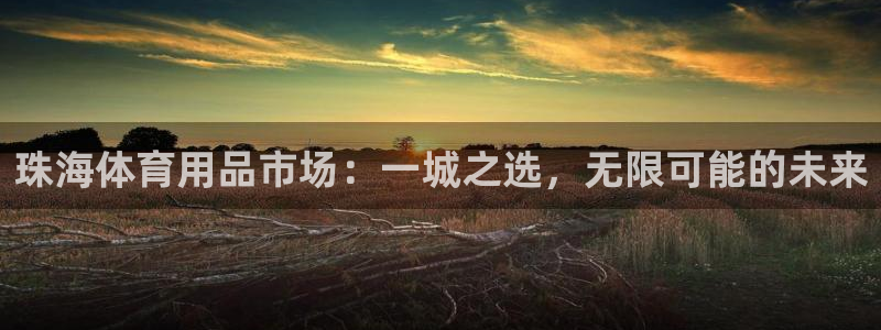 注册凯捷体育：珠海体育用品市场：一城之选，无限可能的未来