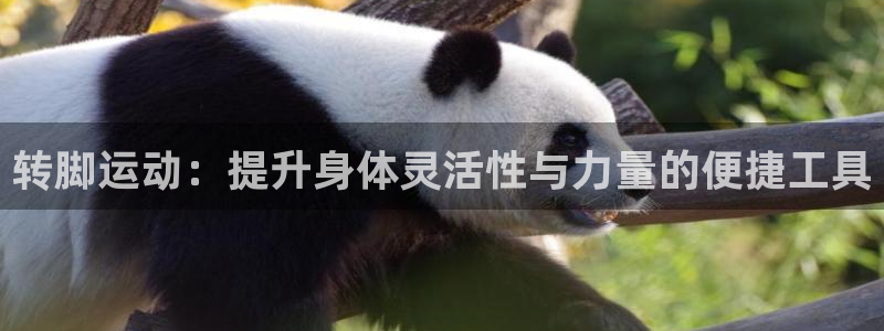 凯捷体育娱乐网站：转脚运动：提升身体灵活性与力量的便捷工具