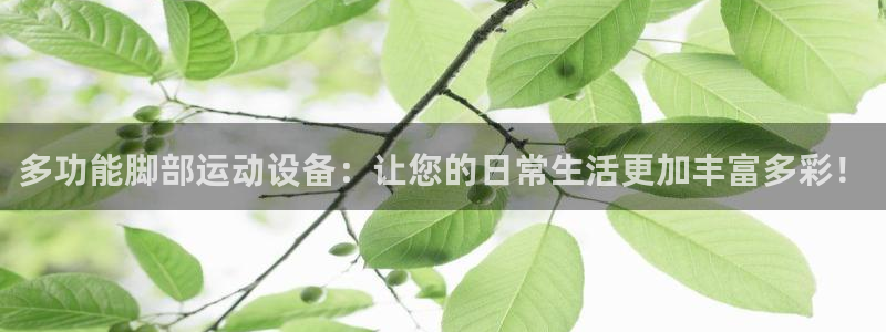 凯捷体育娱乐网站