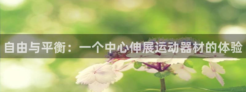 凯捷体育娱乐是那个系列的台子：自由与平衡：一个中心伸展运动器