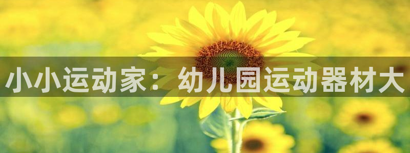 海南凯捷体育发展怎么样：小小运动家：幼儿园运动器材大