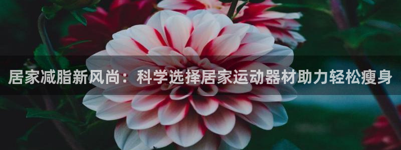 海南凯捷体育发展怎么样：居家减脂新风尚：科学选择居家运动器材