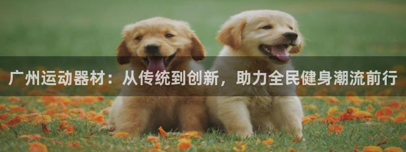 海南凯捷体育：广州运动器材：从传统到创新，助力全民健身潮流前