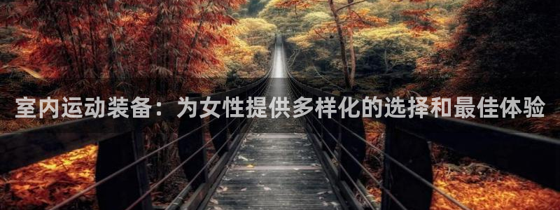 凯捷体育娱乐下载：室内运动装备：为女性提供多样化的选