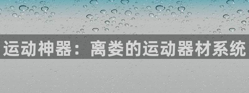 凯捷体育招商电话号码查询是多少：运动神器：离娄的运动