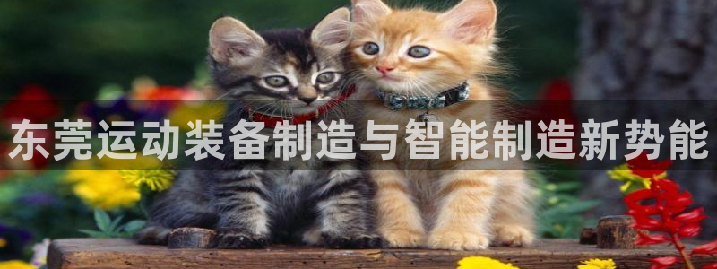 德国凯捷体育集团：东莞运动装备制造与智能制造新势能