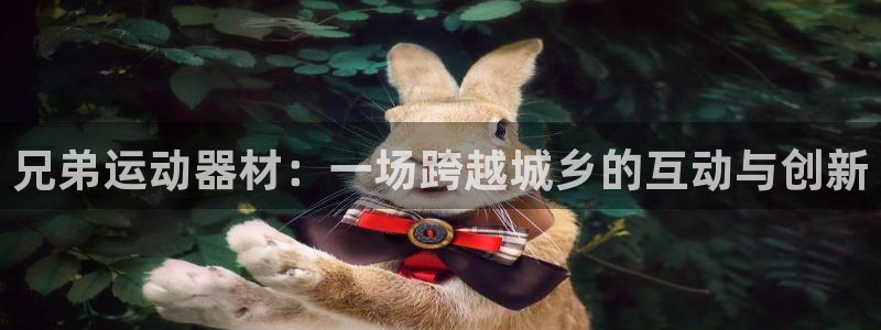 凯捷体育平台是正规平台吗知乎：兄弟运动器材：一场跨越城乡的互