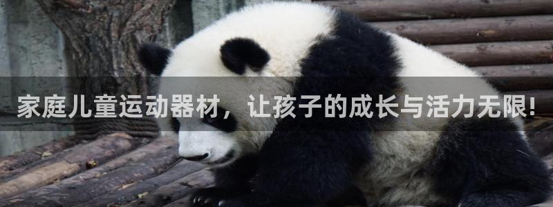 凯捷体育招商电话号码：家庭儿童运动器材，让孩子的成长