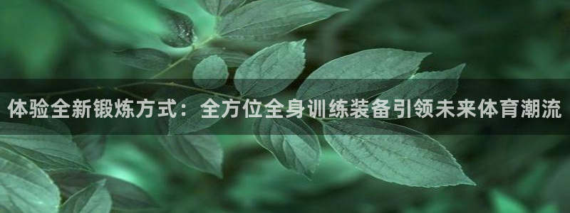凯捷体育五金厂：体验全新锻炼方式：全方位全身训练装备