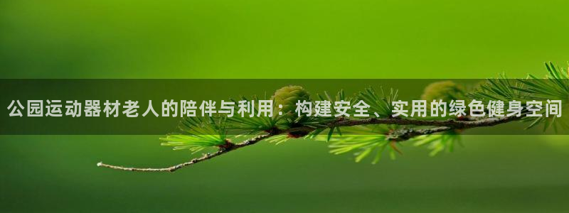凯捷体育平台注册要钱吗安全吗：公园运动器材老人的陪伴