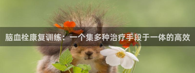 凯捷体育新能源：脑血栓康复训练：一个集多种治疗手段于