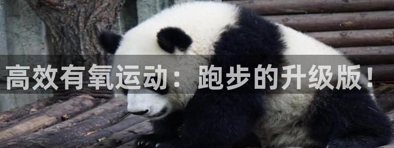 凯捷体育招商电话号码：高效有氧运动：跑步的升级版！