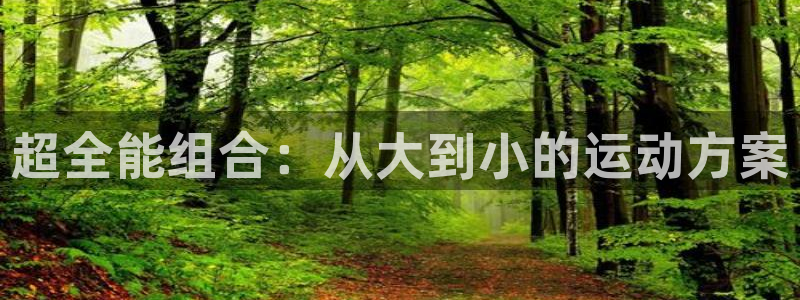 凯捷体育平台：超全能组合：从大到小的运动方案