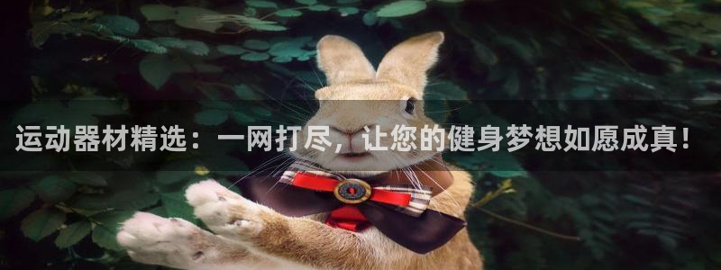 凯捷体育娱乐是那个系列的台子：运动器材精选：一网打尽