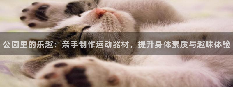 凯捷体育平台注册：公园里的乐趣：亲手制作运动器材，提