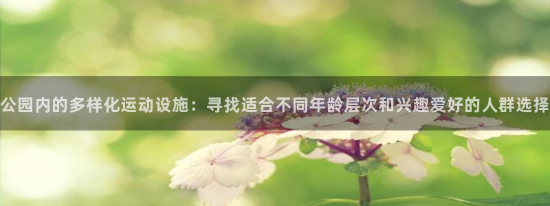 凯捷体育娱乐代理怎么样：公园内的多样化运动设施：寻找适合不同