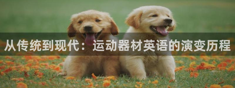 凯捷体育科技：从传统到现代：运动器材英语的演变历程