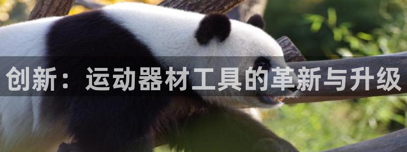 凯捷体育招商电话号码是多少号：创新：运动器材工具的革新与升级