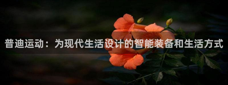 凯捷体育娱乐下载：普迪运动：为现代生活设计的智能装备