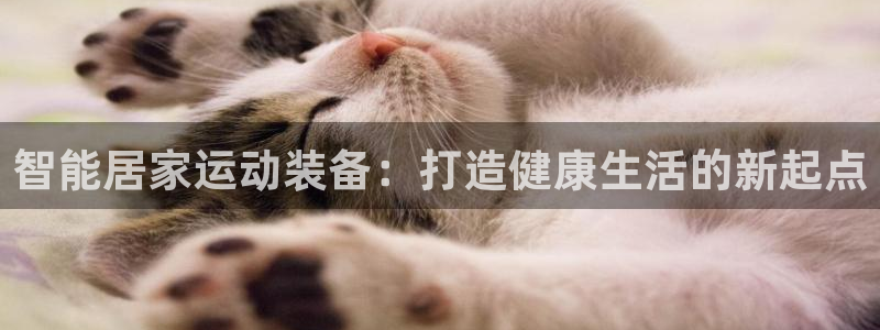 凯捷体育平台注册流程图：智能居家运动装备：打造健康生