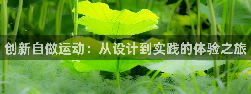 凯捷体育软件：创新自做运动：从设计到实践的体验之旅