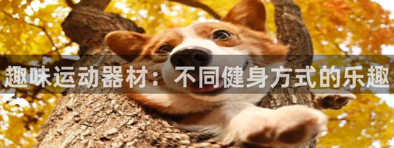 凯捷体育平台：趣味运动器材：不同健身方式的乐趣