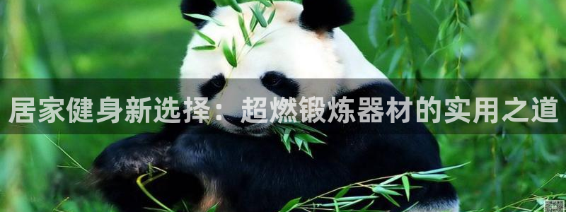 凯捷体育平台是正规平台吗安全吗