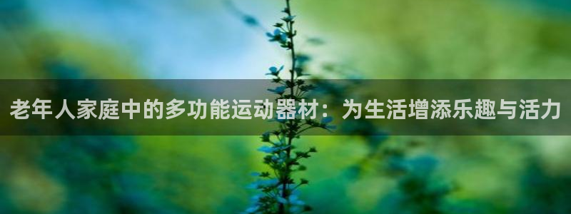 凯捷体育娱乐代理怎么样：老年人家庭中的多功能运动器材：为生活