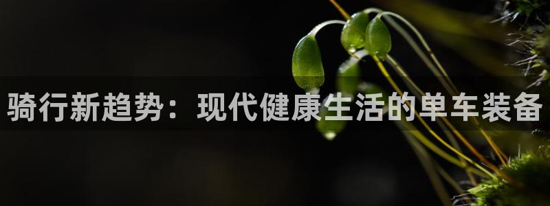 意昂集团官网：骑行新趋势：现代健康生活的单车装备