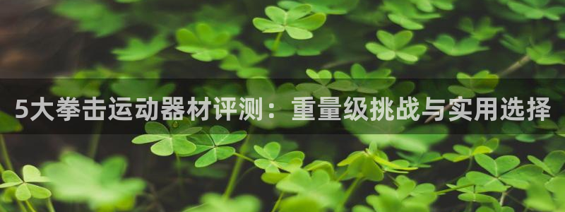 意昂集团官网