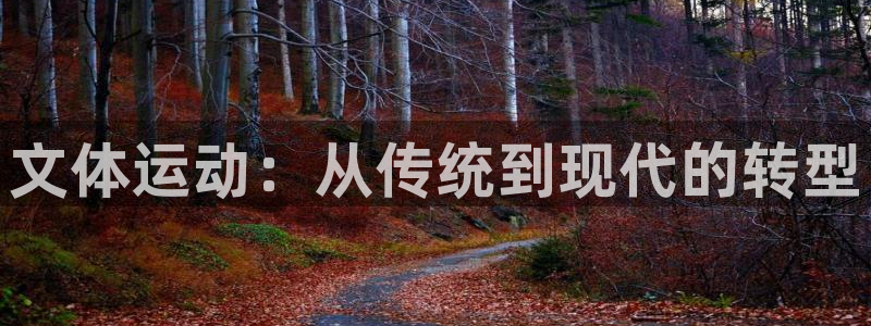意昂平台体育：文体运动：从传统到现代的转型