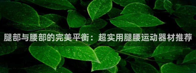 凯捷体育招商电话地址查询：腿部与腰部的完美平衡：超实