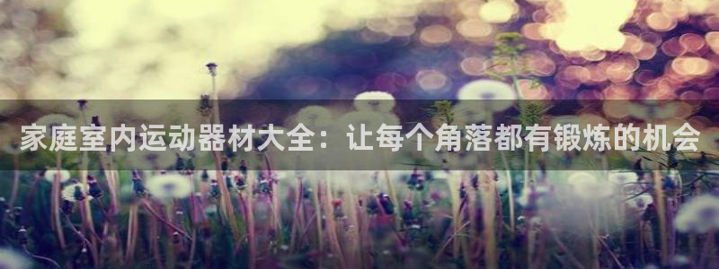 凯捷体育科技：家庭室内运动器材大全：让每个角落都有锻