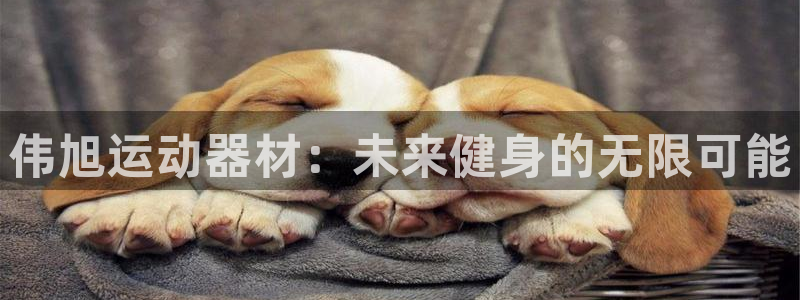 凯捷体育平台注册要钱吗：伟旭运动器材：未来健身的无限