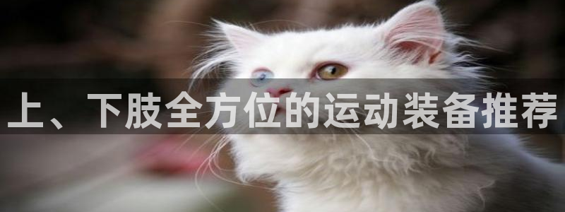 凯捷体育娱乐：上、下肢全方位的运动装备推荐