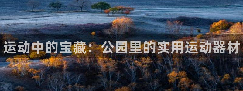 凯捷体育平台注册要钱吗是真的吗：运动中的宝藏：公园里