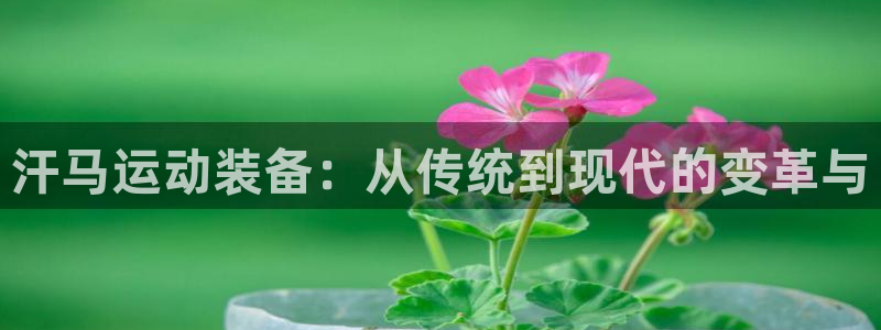 凯捷体育招商电话号码：汗马运动装备：从传统到现代的变革与